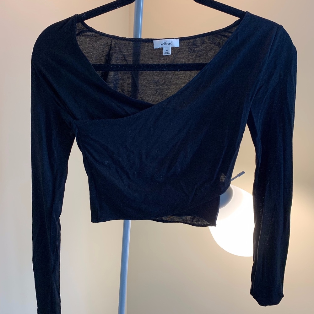 Aritzia long sleeve crop top